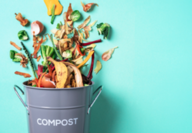 How to get started with composting